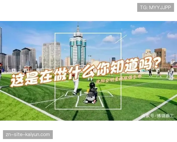 青少年体育培训市场：棒球装备成本与场地要求对运动普及率的影响机制研究